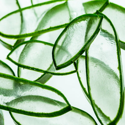 Soothing Aloe Vera Gel